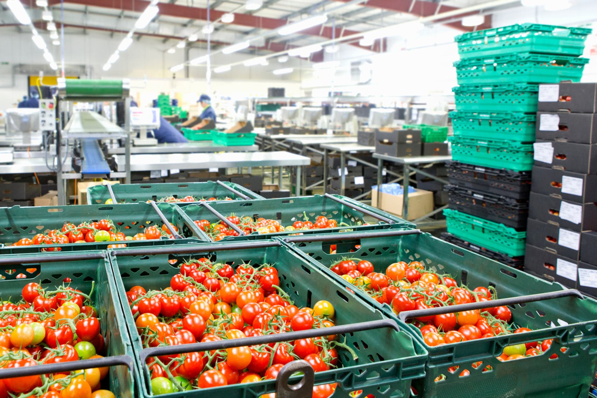 Agricultural stockpile management